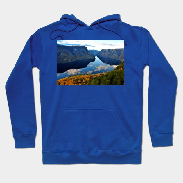 Aurlandsfjord Flam Norwegian Fjord Norway Hoodie by Andy Evans Photos